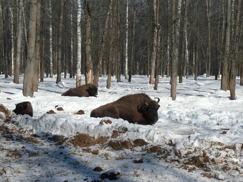 Серпухов, ч.1 - спящий красавец