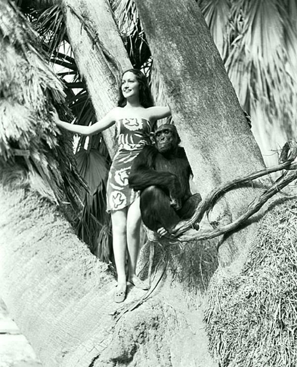 Дороти Ламур  и  шимпанзе Джиггс,  в фильме 1938 года  «Ее любовь к джунглям»