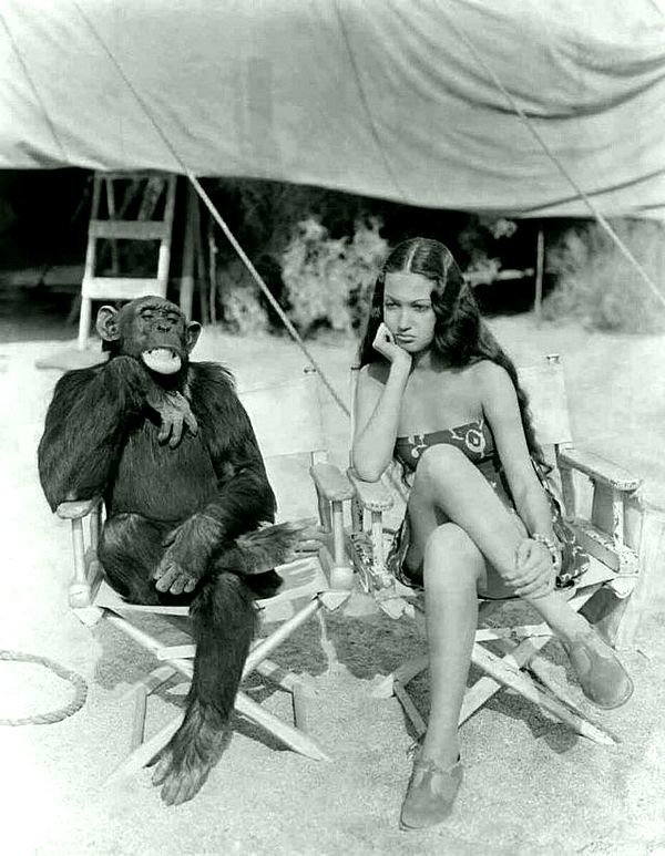 Дороти Ламур  и  шимпанзе Джиггс,  в фильме 1938 года  «Ее любовь к джунглям»