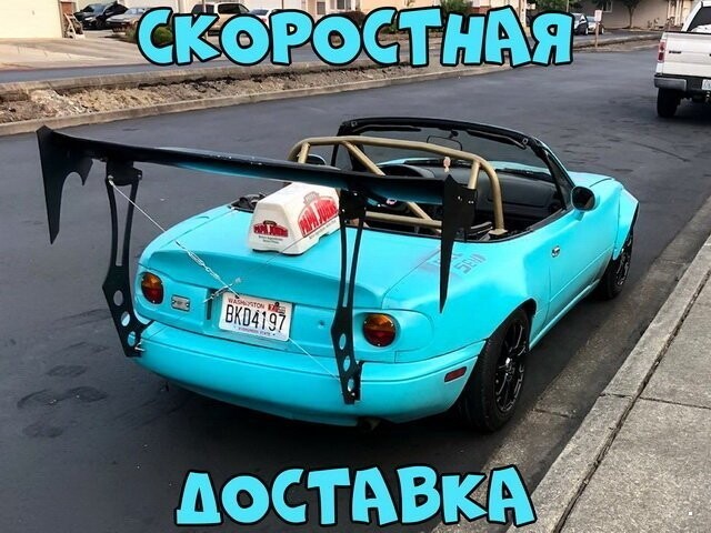 Автовсячина