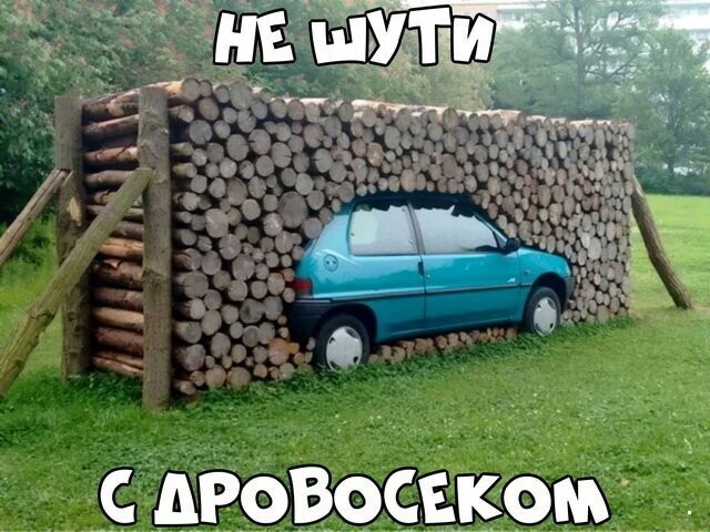 Автовсячина