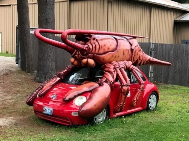 Автовсячина. Volkswagen Beetle