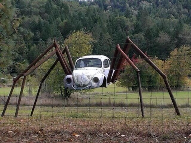 Автовсячина. Volkswagen Beetle