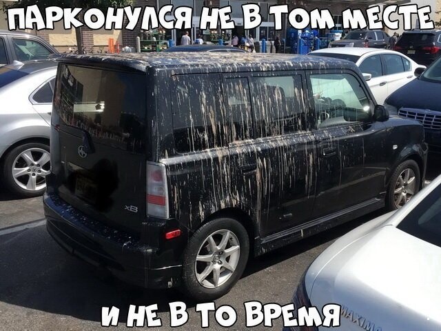 Автовсячина