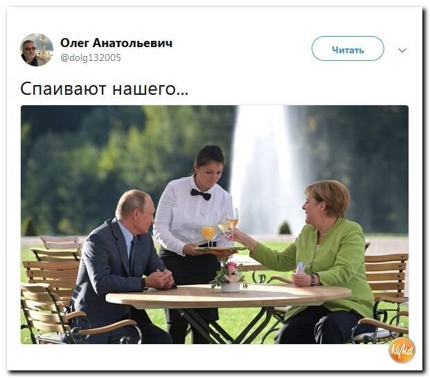 Политические коментарии соцсетей - 562