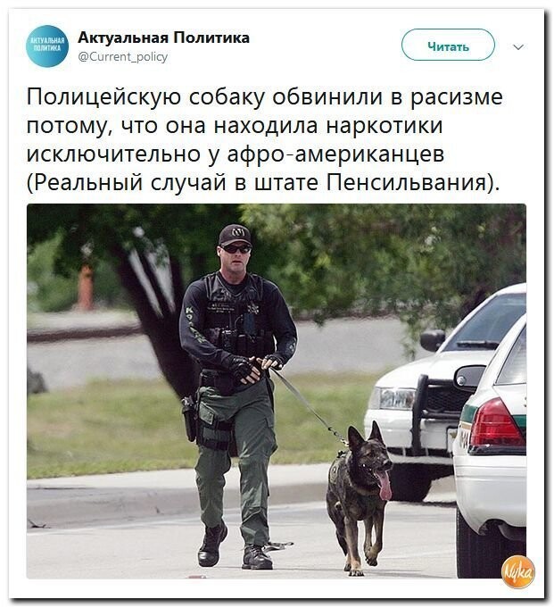 Политические коментарии соцсетей - 562