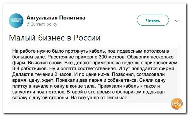 Политические коментарии соцсетей - 562