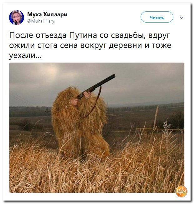 Политические коментарии соцсетей - 562