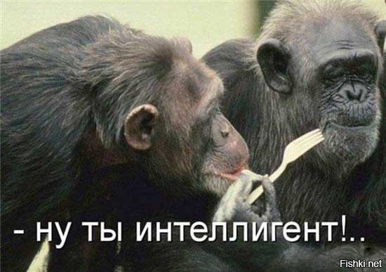 К