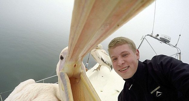 18-летний студент из Претории, ЮАР, увидел на судне пеликана и не упустил возможности сделать с ним селфи