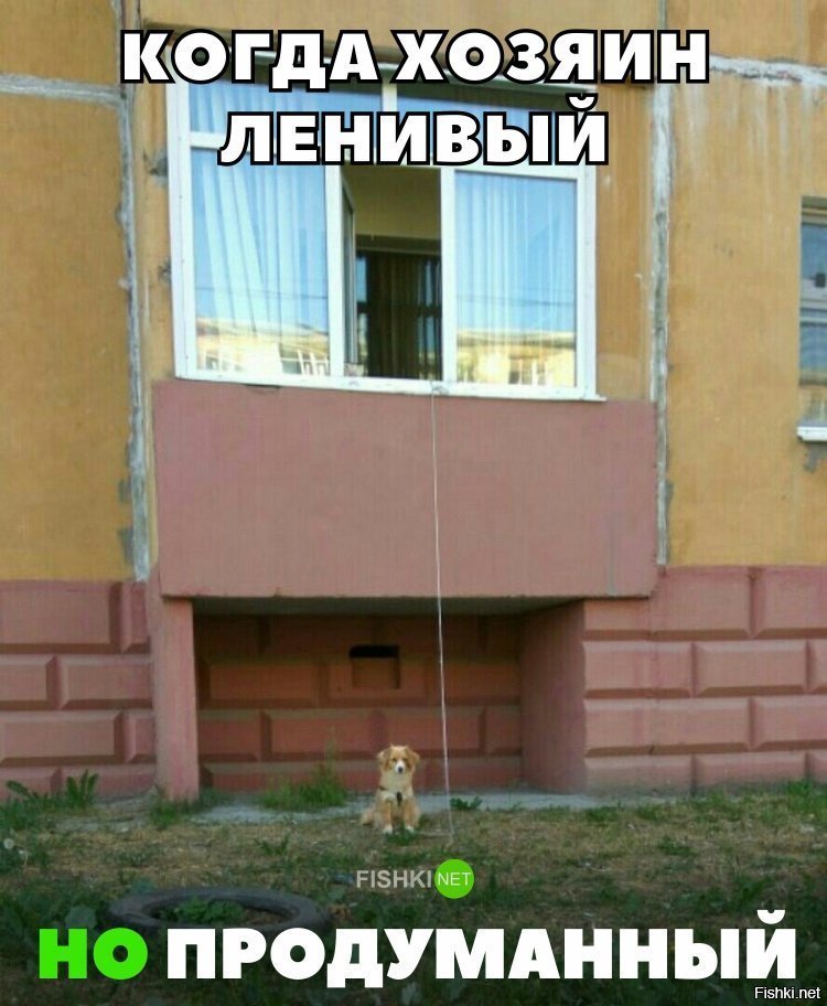 Ленивый хозяин