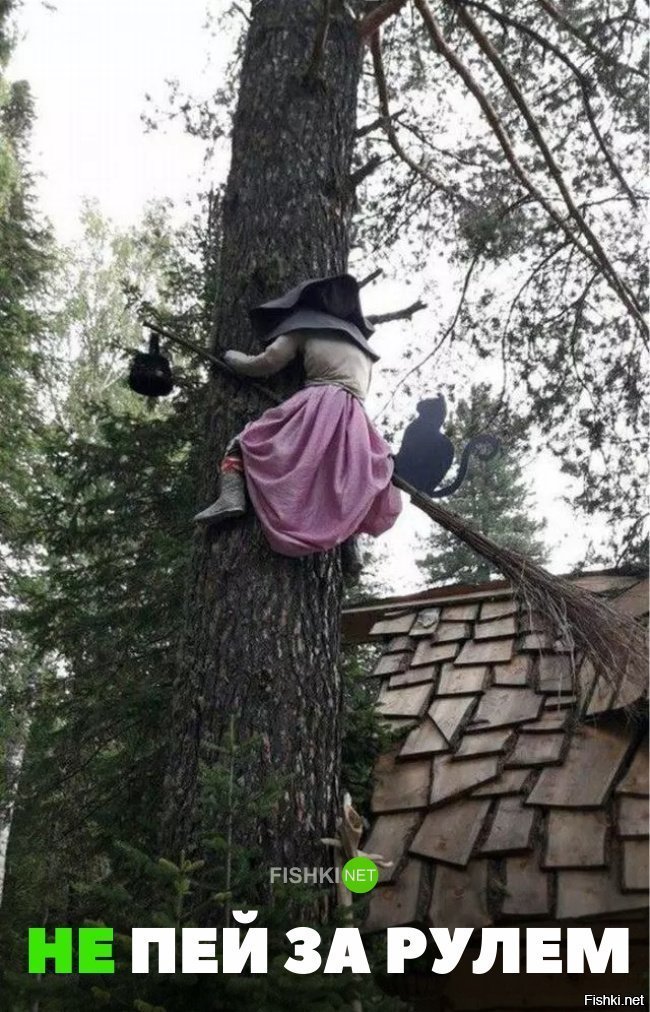Не пей за рулём