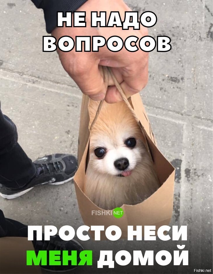 Не надо вопросов. Просто неси