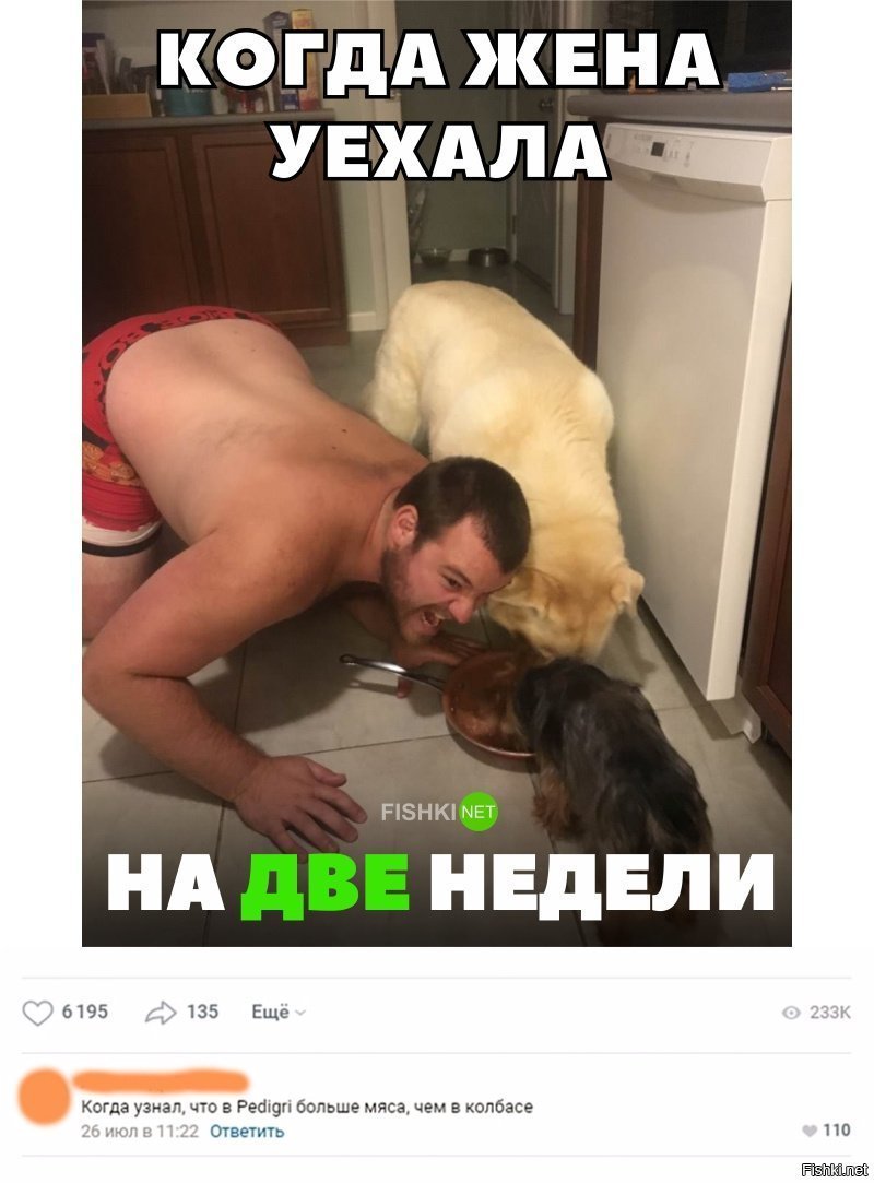 Когда жена уехала