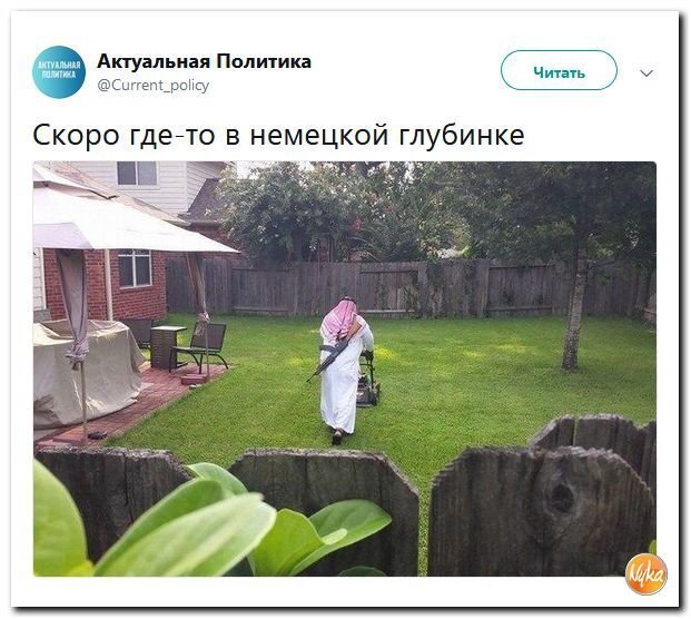 Политические коментарии соцсетей - 563