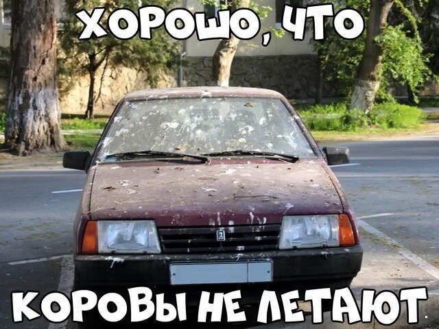 Автовсячина