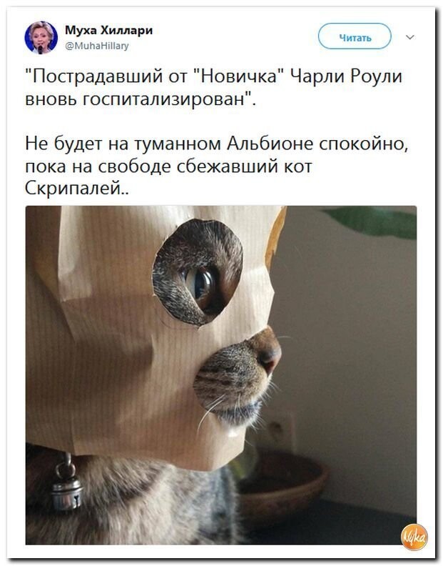 Политические коментарии соцсетей - 564