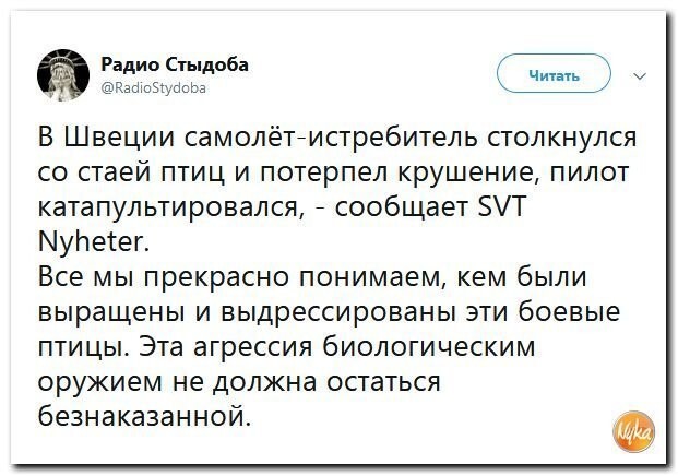 Политические коментарии соцсетей - 564