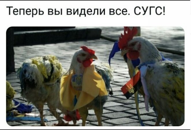 Политические коментарии соцсетей - 564