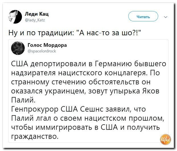 Политические коментарии соцсетей - 564
