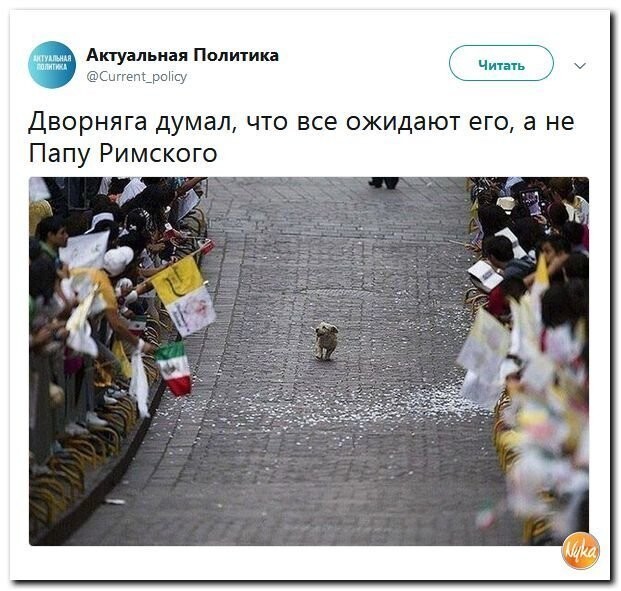 Политические коментарии соцсетей - 564