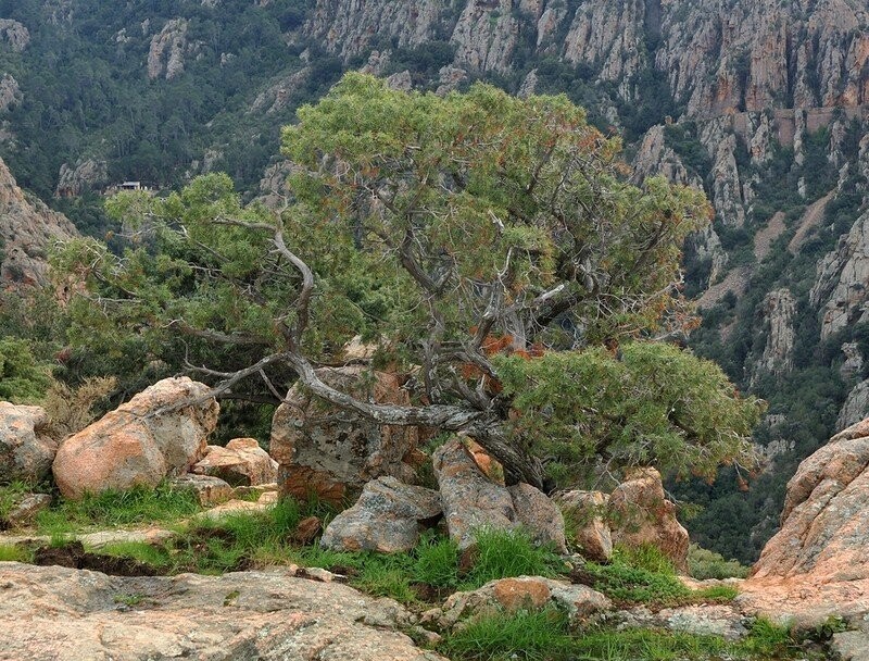 Города и веси: Calanques de Piana. Часть 1