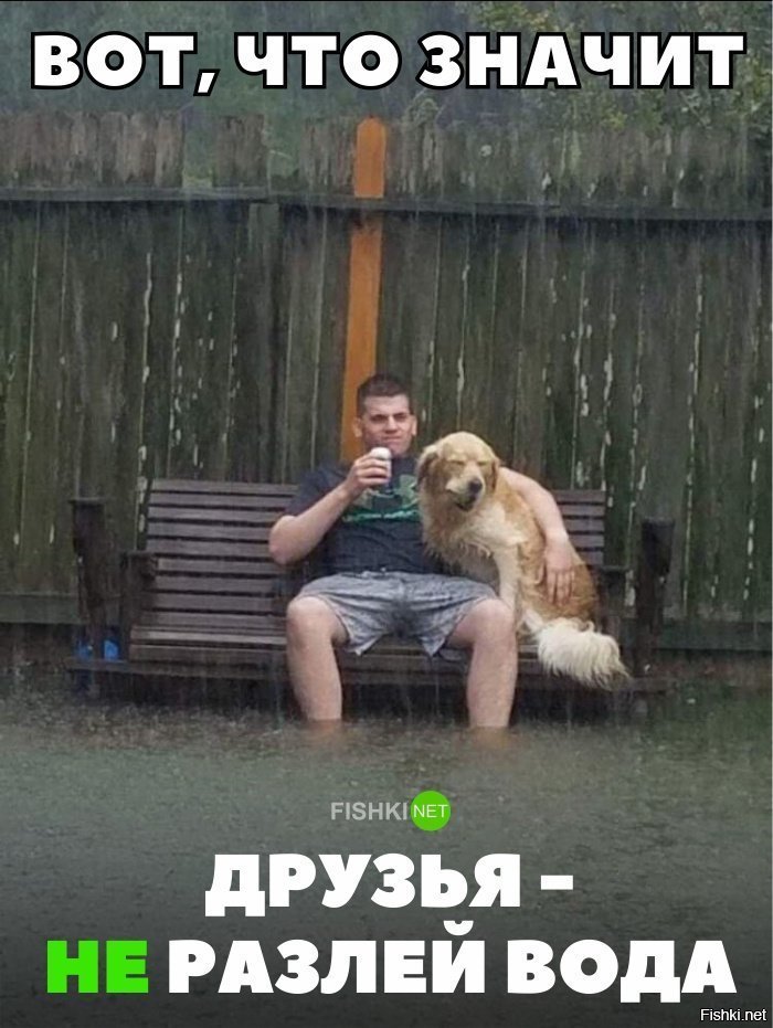 Друзья - не разлей вода