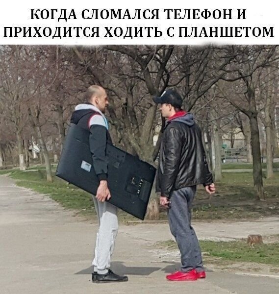 Веселые фотки с надписями