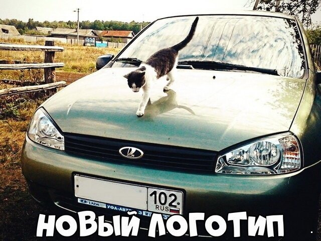 Автовсячина