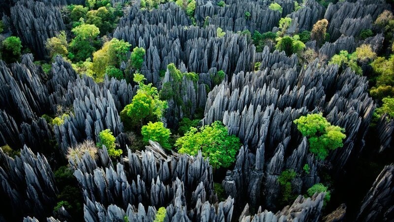 10 интересных фактов о Мадагаскаре