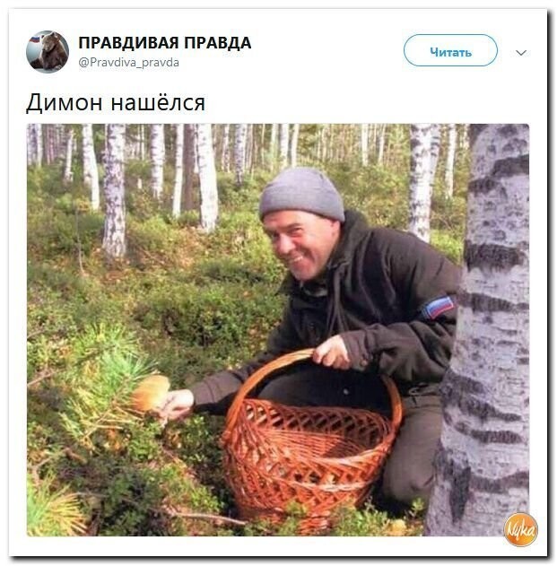 Политические коментарии соцсетей - 566