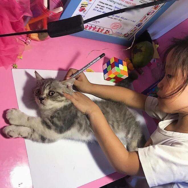 Нашла способ нарисовать кота