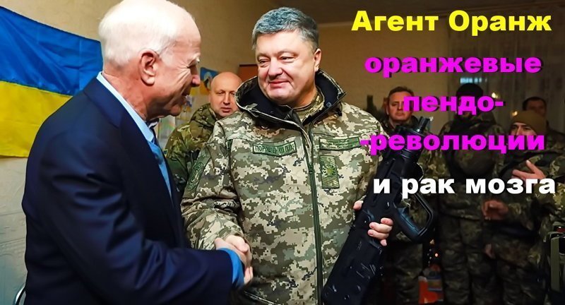 При попадании в организм диоксин вызывает онкологические заболевания дыхательных путей, мозга, различные проблемы с печенью и кровью, подавляет работу иммунной системы и приводит к состоянию так называемого «химического СПИДа».