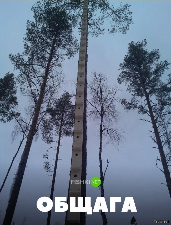 Общага