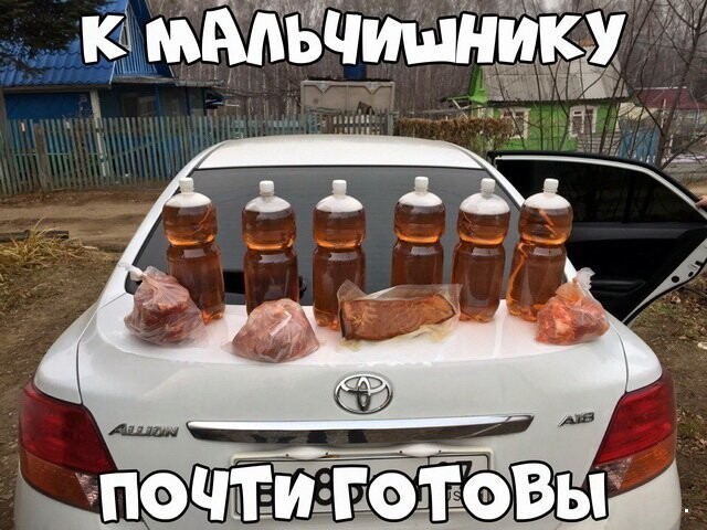 Автовсячина