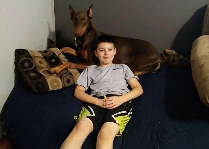 Медь — 4-летний доберман, который является служебной собакой, эмоциональной поддержкой и просто лучшим другом для 10-летнего Коннора