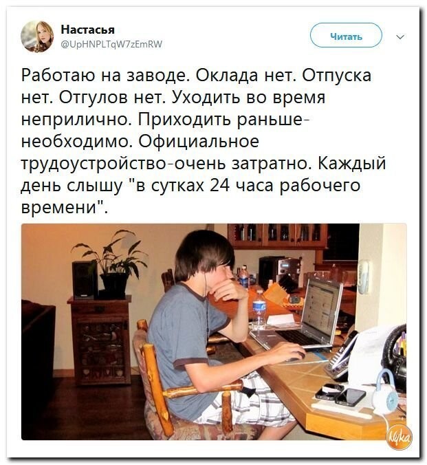 Политические коментарии соцсетей - 568