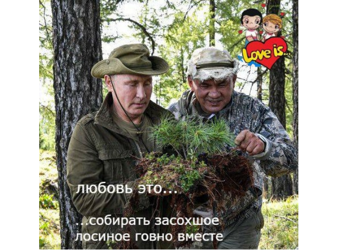 Путин в сказочном лесу: реакция соцсетей