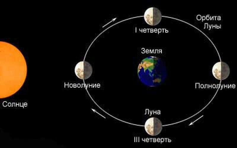 Факт третий