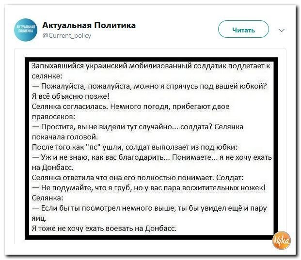 Политические коментарии соцсетей - 569