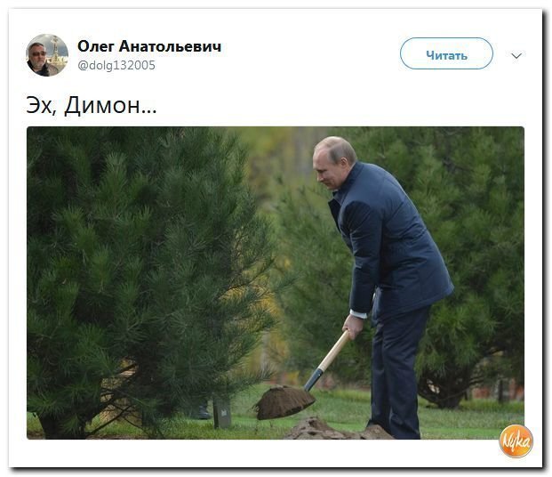 Политические коментарии соцсетей - 569