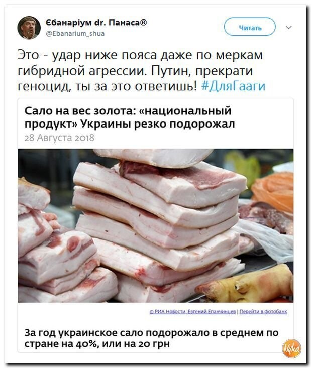 Политические коментарии соцсетей - 569