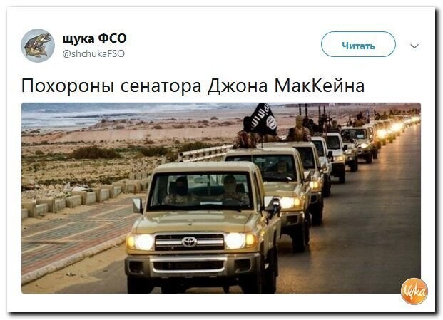 Политические коментарии соцсетей - 569