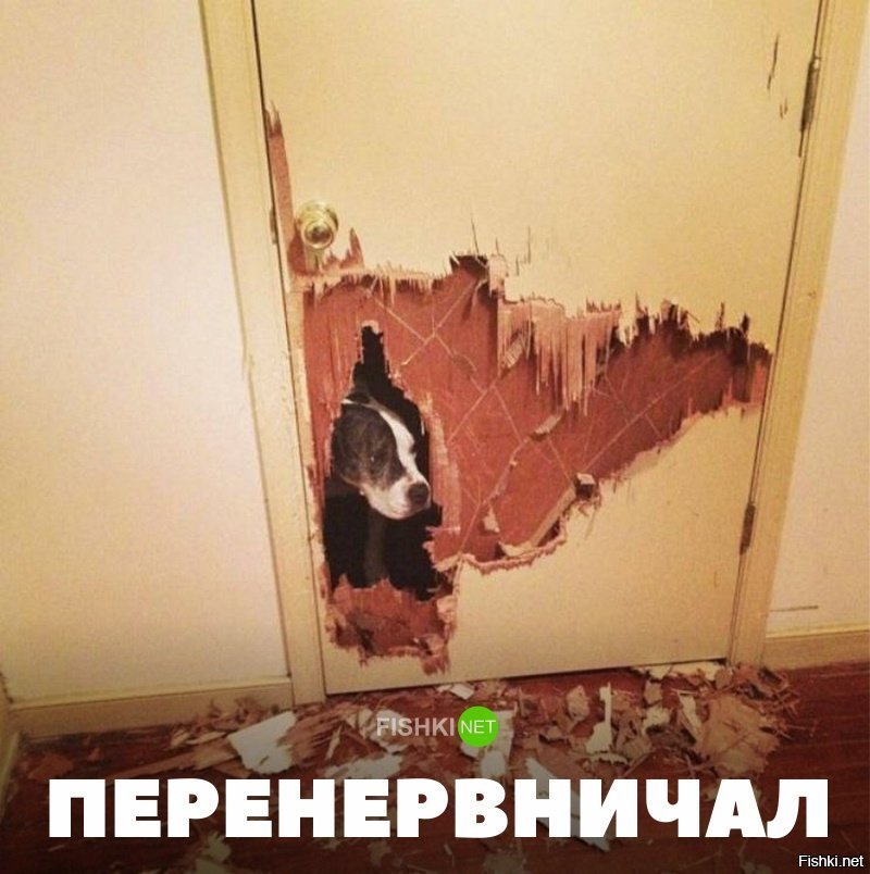 Перенервничал