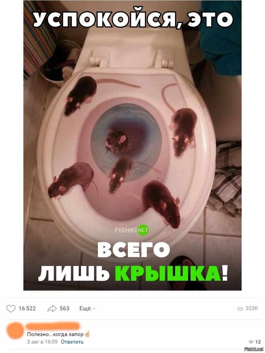 Это всего лишь крышка