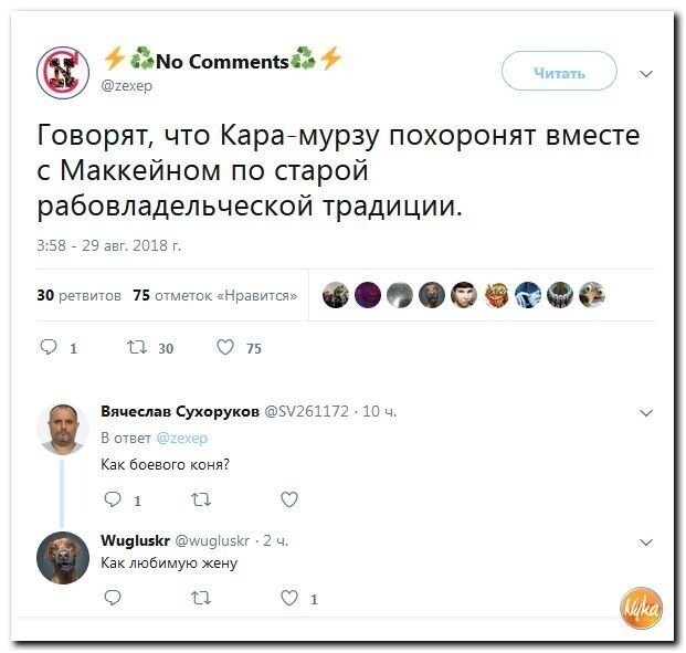 Политические коментарии соцсетей - 570