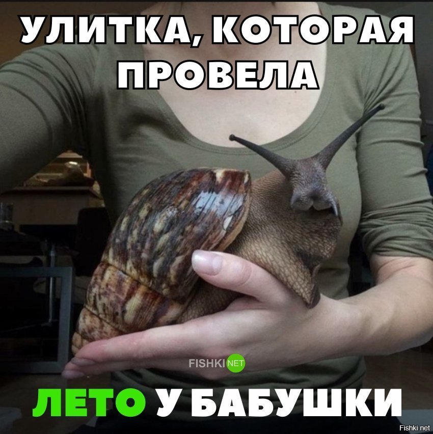 Бабушка добралась до улитки