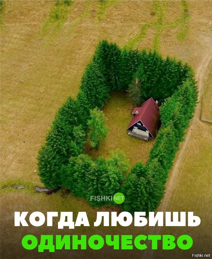 Дом интроверта
