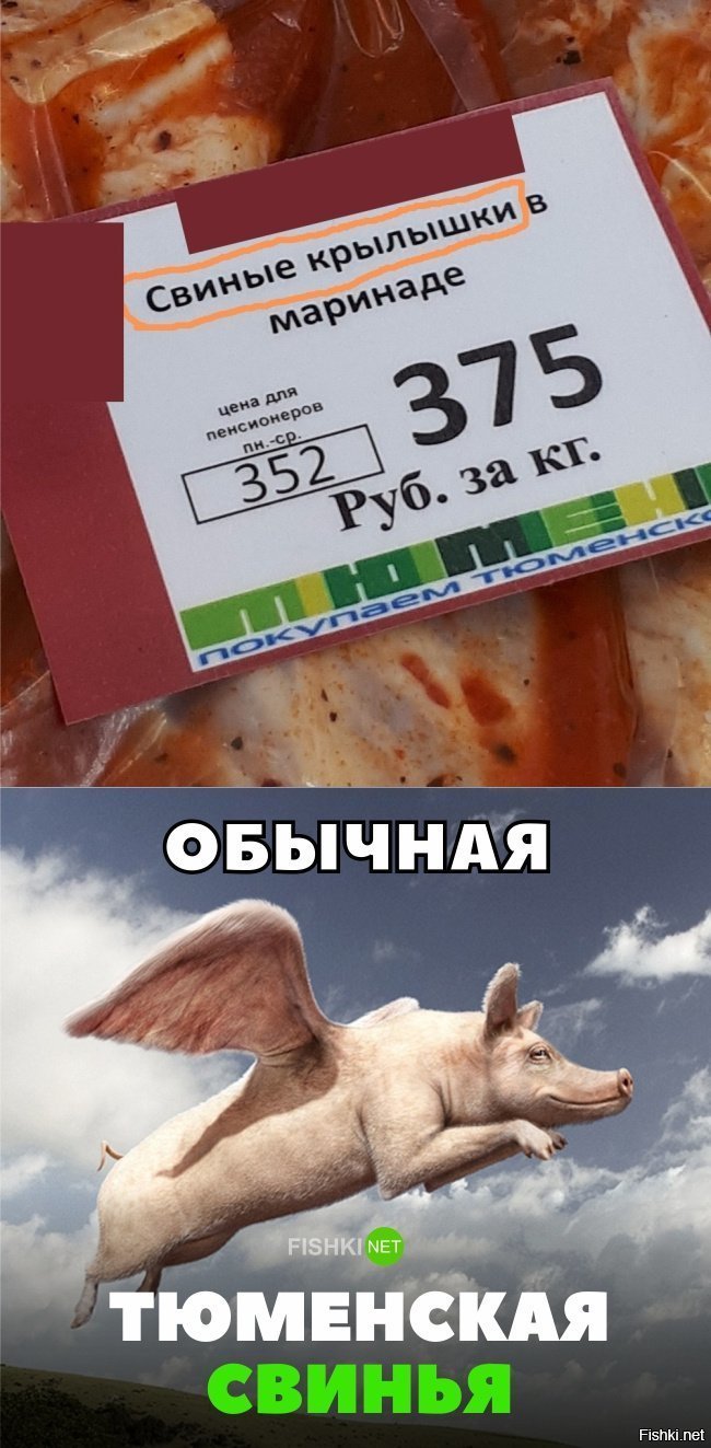 Обычная Тюменская свинья