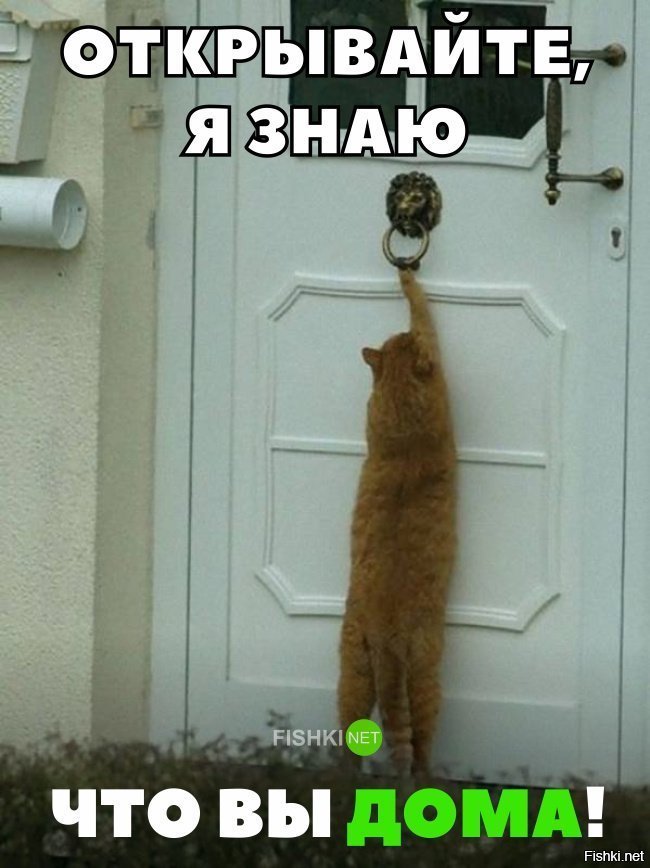 Открывайте!